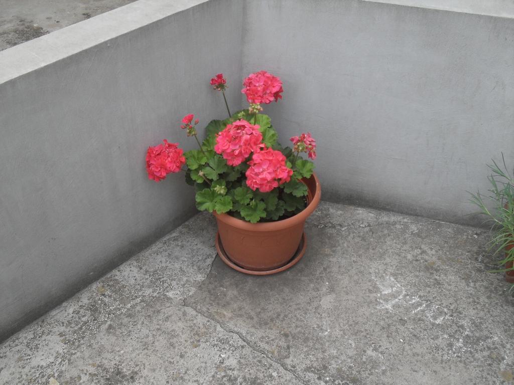 Apartment Maja Zadar Chambre photo